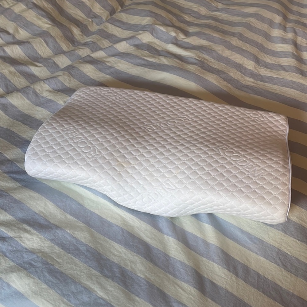 EcoDen pillow gently used